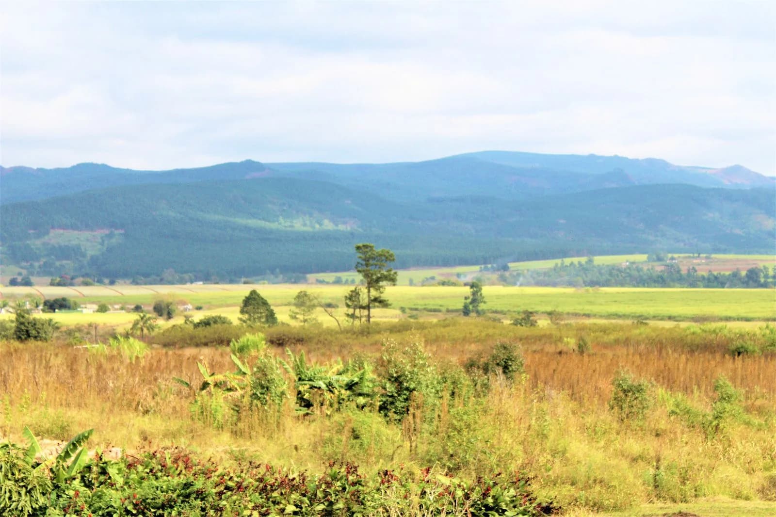Heldenafbeelding voor Eswatini
