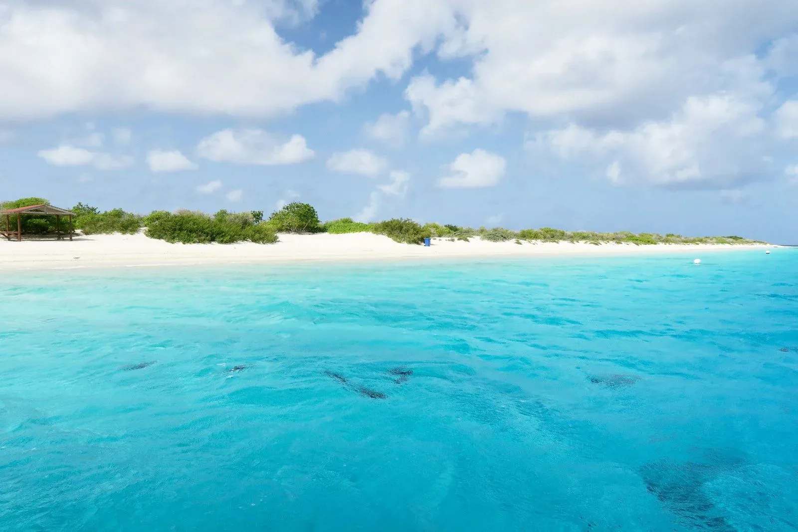 Heldenafbeelding voor Bonaire, Sint Eustatius en Saba