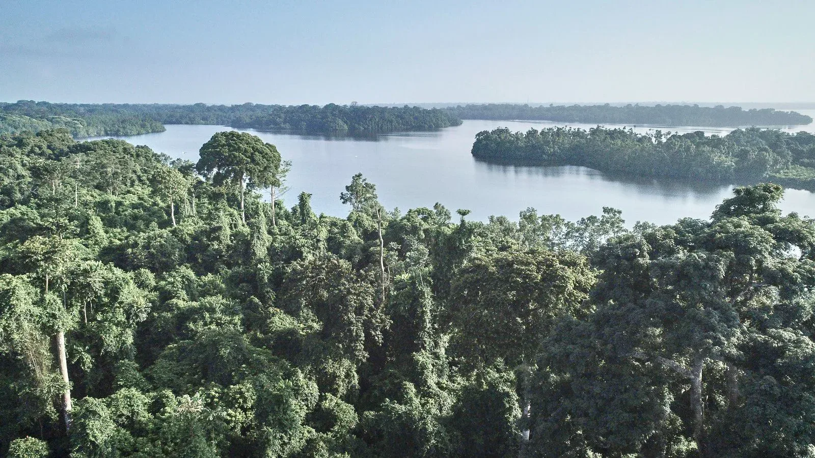 Heldenafbeelding voor Gabon