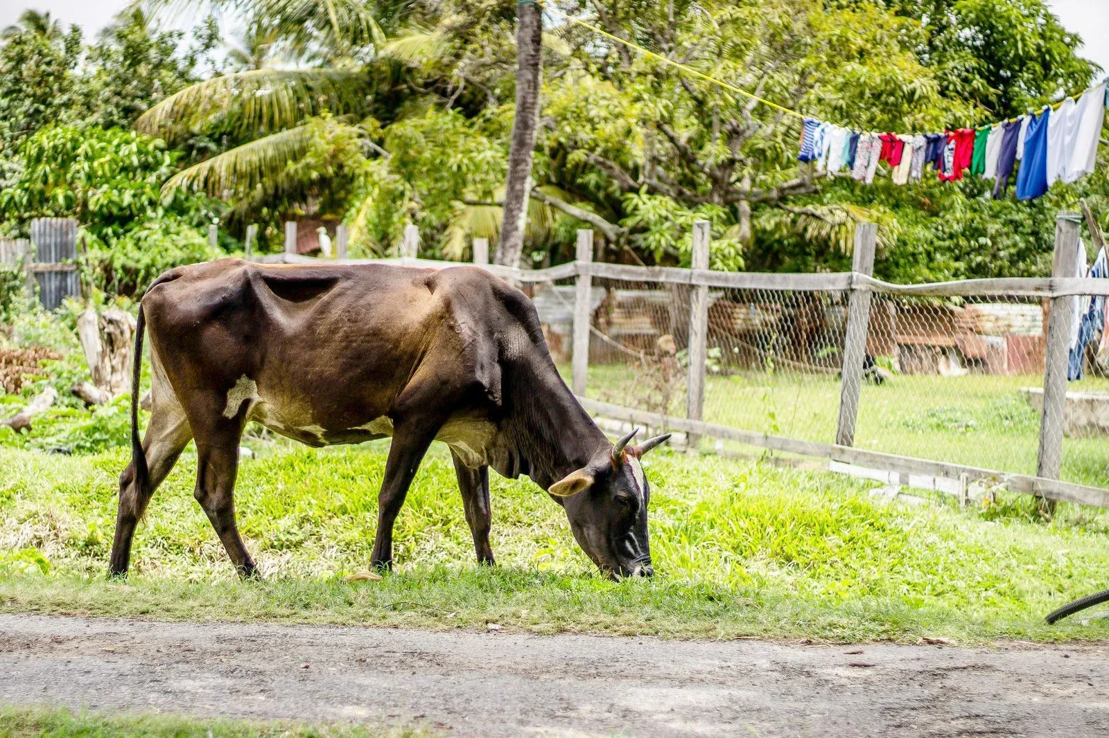 Heldenafbeelding voor Frans-Guyana