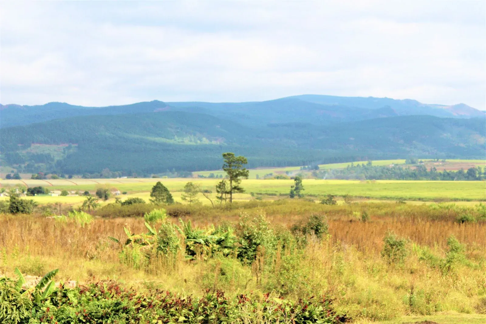 Heldenafbeelding voor Eswatini